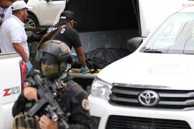 Well-known leader of a civilian 'self-defense' group has been slain in southern Mexico