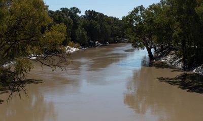 Labor’s Murray-Darling Basin water buyback plan would trigger wave of job losses, farmers warn