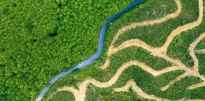 Slow solutions to fast-moving ecological crises won’t work – changing basic human behaviours must come first