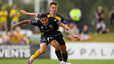 Victory's Arzani still holds dream of Socceroos return