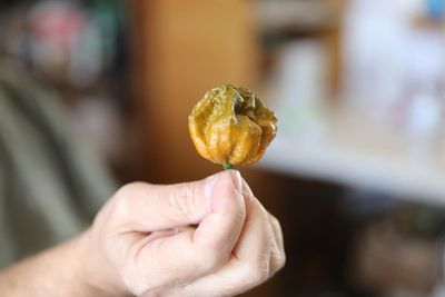 South Carolina pepper expert breaks his own Guinness record with pepper that’s three times hotter