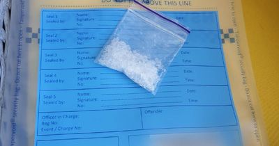Woman guilty of commercial meth supply says she was coerced into trade
