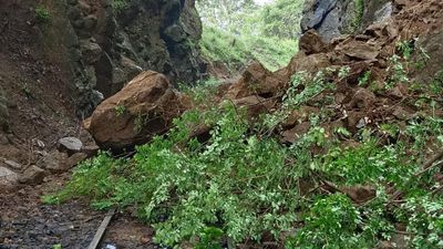 Three train services cancelled after landslip on Nilgiri Mountain Railway line