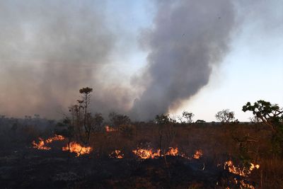 Record-breaking wildfires blanket Brazil