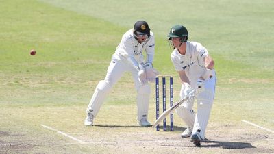 Tasmania hold on for draw against Western Australia