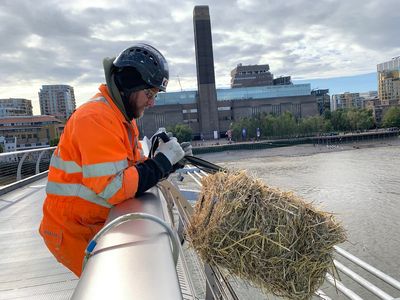 Why was a bale from Essex hanging over Millennium Bridge?