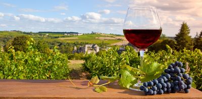Climate change may make Bordeaux red wines stronger and tastier