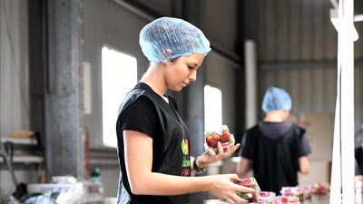 More women and young people join agricultural workforce