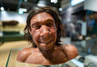 How Neanderthal DNA got ‘diluted’ among Europeans finally found