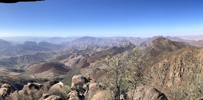 Namibia and Angola’s remote Ovahimba mountains reveal a haven for unique plants – new survey