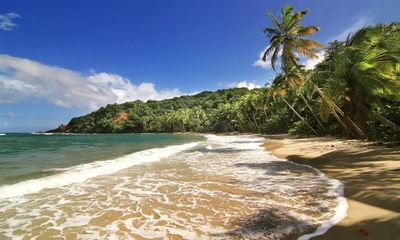 EU raises security concerns as it reveals five Caribbean states have sold 88,000 ‘golden passports’