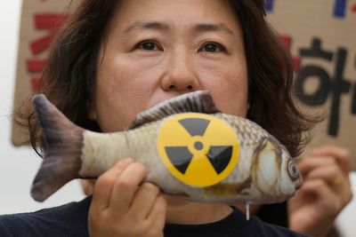 Fukushima fish tested for first time since nuclear plant water release