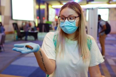 5th annual UK Curiosity Fair set for November 1