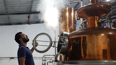 How Indian gin-makers are reinventing the London Dry gin