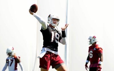 Cardinals cut QB Jeff Driskel from practice squad, add RB Tony Jones