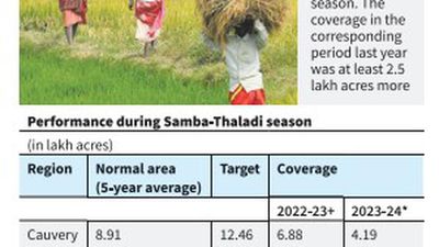 Cauvery delta farmers keep their fingers crossed over samba crop