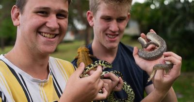 Sssurprise: boys reunited with snake 'Becky' plus a rescue addition
