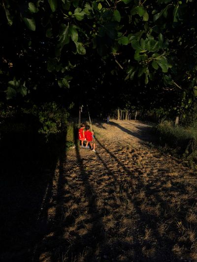 ‘The boys disappear into the forest all day to play, pretending to be ninjas’: Emilio Morenatti’s best phone picture