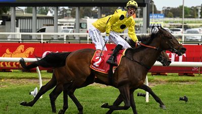 Without A Fight up for Melbourne Cup battle: Zahra