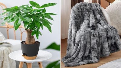 50 Dope Home Upgrades That Are So Cheap on Amazon