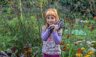 Looking back on years of happy growing on the allotment