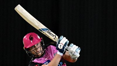 'Dog attack' sidelines women's cricket star Healy