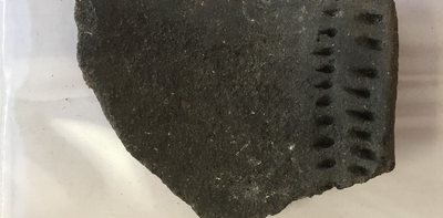 Ancient pots hold clues about how diverse diets helped herders thrive in southern Africa