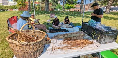 Incorporating nature into education can build skills and improve mental health