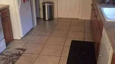 You have excellent vision if you can spot the dog in this picture within 20 seconds