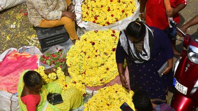 Prices of lemons turn sour and ash gourd becomes a hard buy ahead of Ayudha Puja