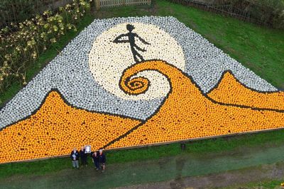 Spook-tacular Tim Burton-inspired pumpkin and squash mosaic sets world record