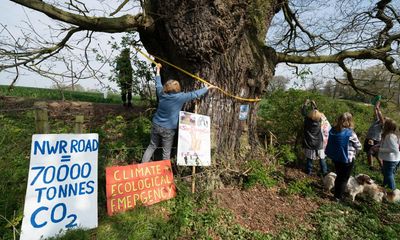 ‘Trees have no legal status’: calls rise for stronger protection in UK against felling