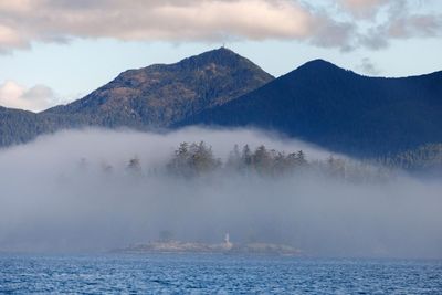 ‘Crabs everywhere’: off Canada’s Pacific coast, Indigenous Haida fight a host of invasive species