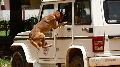 Indian dog breeds to be deployed in police duties soon