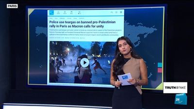 Pro-Palestinian marches: Is fake news feeding a narrative of 'violence' abroad?