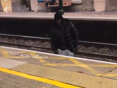 Police investigation after video of man crossing rail tracks to harass woman goes viral