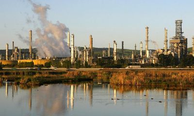 Crossword roundup: cocktails and piranhas