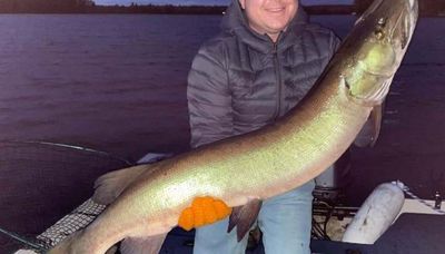 It’s big muskie time, aptly a pair of brutes share Fish of the Week