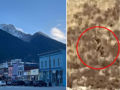 ‘Bigfoot’ has been spotted in a tiny town – and locals have some theories