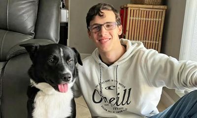 Axel the border collie saves life of teen boy having stroke in Texas