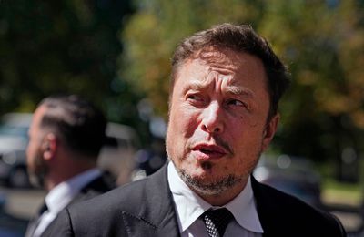 ‘Little baby’ Elon Musk had meltdown on Tesla earnings call, analyst claims