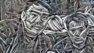 Personality Test: What you see first reveals if you are kind-hearted or ambitious