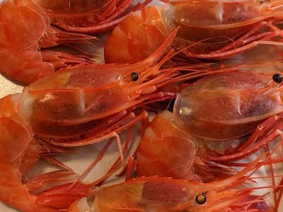 NYC restaurant hits back after scathing review of $28 shrimp