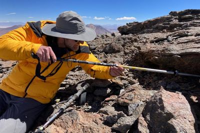 Mice Living On Volcano Summits Suggest Mammals Could Survive On Mars