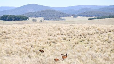 Government grilled over plans for new nature laws