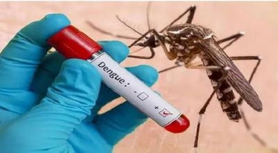 Dengue: LG instructs Delhi Chief Secretary, civic bodies to ensure mitigation of mosquito breeding on war footing