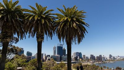 Arson investigated as bushfire burns in Kings Park