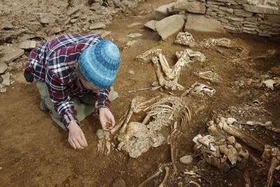 Skeletons unearthed after 'incredibly rare' tomb discovered in Orkney