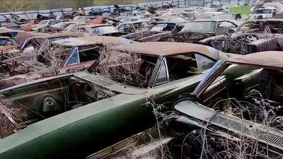 The Rotting Dodge Chargers In This Car Graveyard Are Begging To Be Rescued