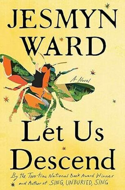 'Let Us Descend' follows a slave on a painful journey — finding some hope on the way